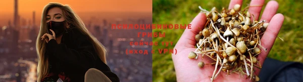 соль ск Волоколамск